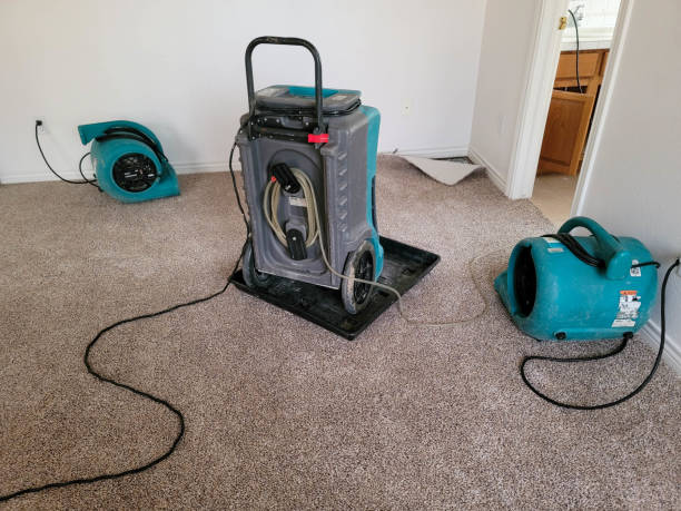 Best Flood damage cleanup  in Selah, WA