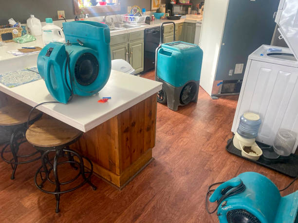 Best Fire Damage Restoration  in Selah, WA