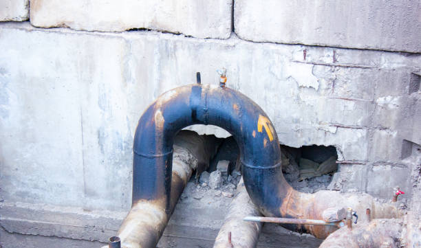 Best Mold removal after water damage  in Selah, WA