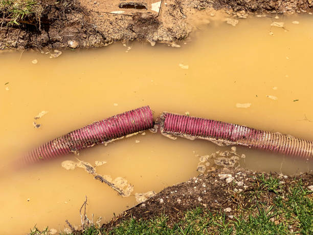 Best 24-hour water damage restoration  in Selah, WA