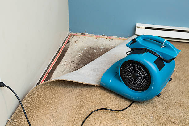 Best Water damage restoration near me  in Selah, WA
